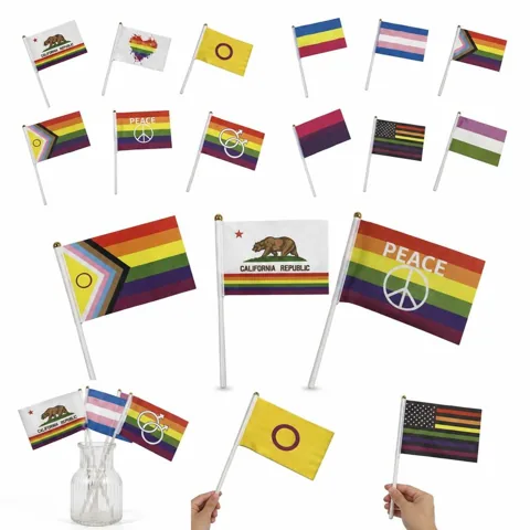 12 Pack LGBTQ+ Pride Hand Waving Flags Set with Gold Top 2