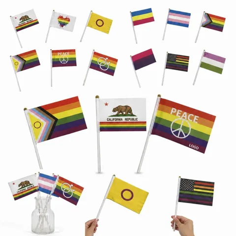 12 Pack LGBTQ+ Pride Hand Waving Flags Set with Gold Top 1