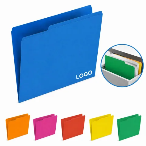 Durable Plastic Colored Folder for A4/Letter Document