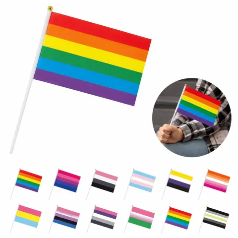 Durable Rainbow Handheld Flags for Parades & Pride Events 2