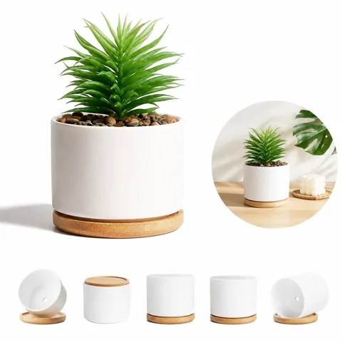 Glazed Ceramic Planter with Wooden Holder for Indoor Plants 2