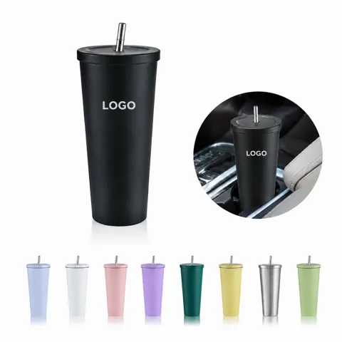 25 oz Insulated Tumbler with Lid and Straw, Double-Wall