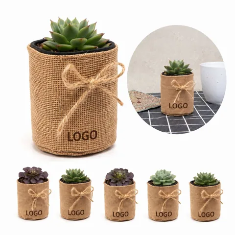 Eco-Friendly Burlap Plant Grow Bags for Seedlings and More