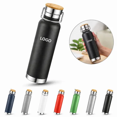 22 oz Vacuum Insulated Stainless Steel Bottle for Hot &