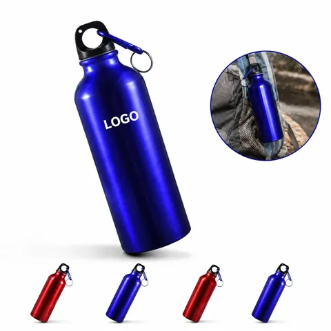 17 oz Aluminum Water Bottle with Carabiner Clip