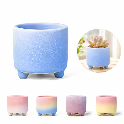 Pastel Gradient Succulent Pot with Drainage Hole for Indoor 2