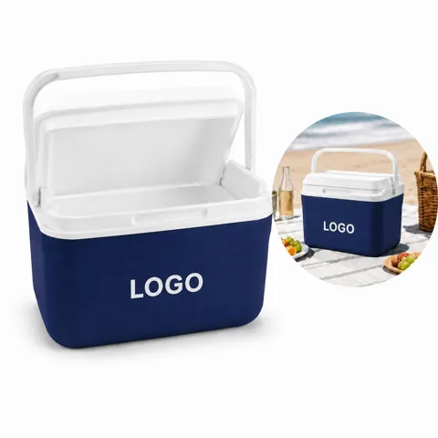 Portable 4.5L Insulated Cooler Box with Custom Logo Option