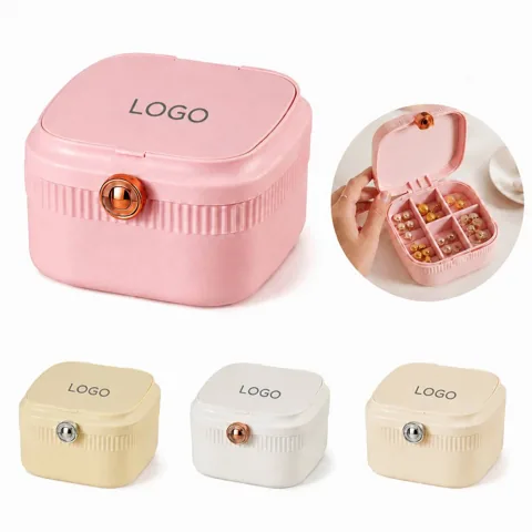 Mini Jewelry Organizer Box with Clear Lid, Double-Layer