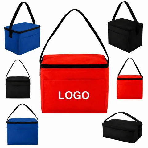 Mini Insulated Cooler Bag for Picnic Camping Beach
